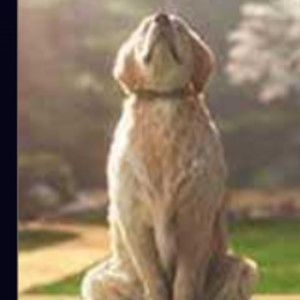 Meet your Posher, Kamilah